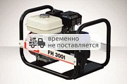 Бензиновый генератор Fogo FH3001